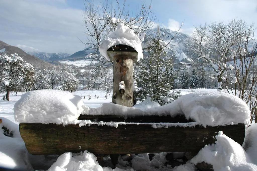 Dammerer Hof Inkl. Chiemgaukarte Ruhpolding
