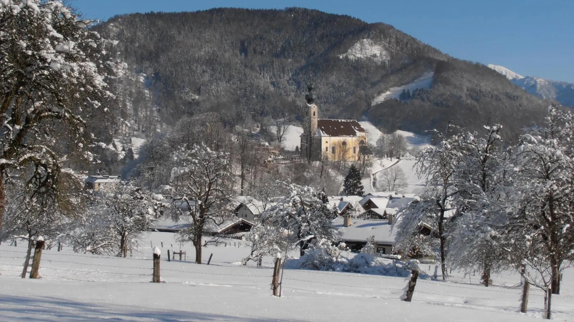Dammerer Hof Inkl. Chiemgaukarte Ruhpolding
