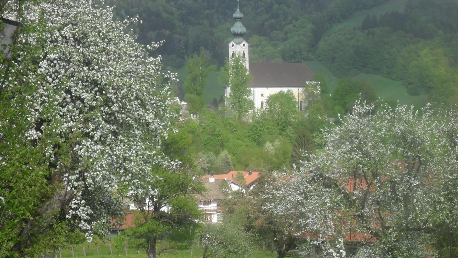 Dammerer Hof Inkl. Chiemgaukarte Ruhpolding Apartment